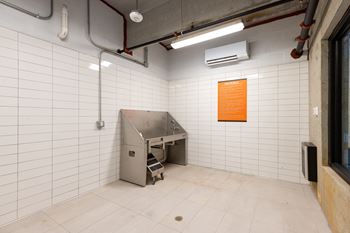 A pet spa room with white tiled walls and a stainless steel sink.